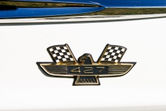 1960 Ford Thunderbird emblem detail.