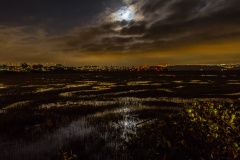 Tijuana Estuary Moonlight
